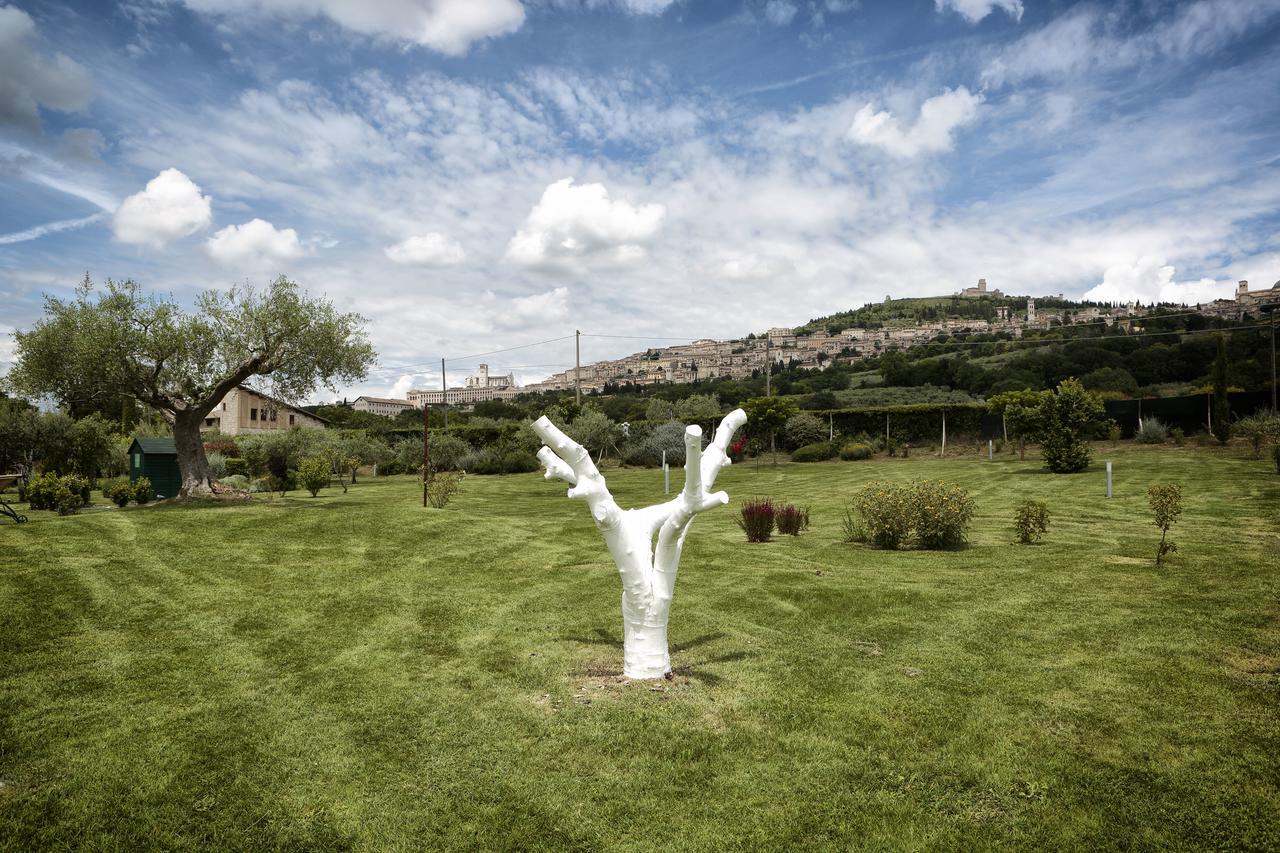 Tenuta San Masseo - Boutique Farm Resort & Spa Assisi Ngoại thất bức ảnh